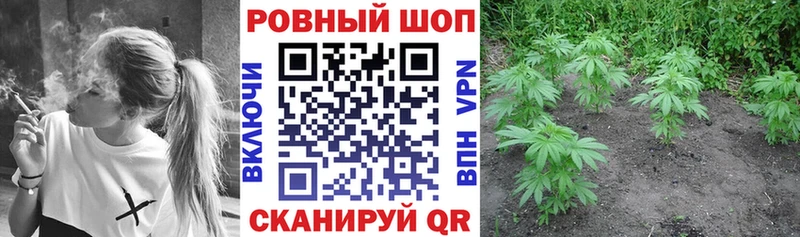 Где купить наркоту Сясьстрой БУТИРАТ  Канабис  Мефедрон  ГАШ  APVP 