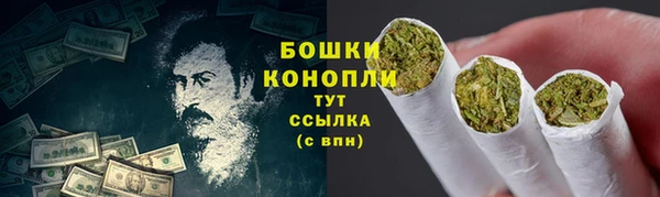 дживик Лабытнанги