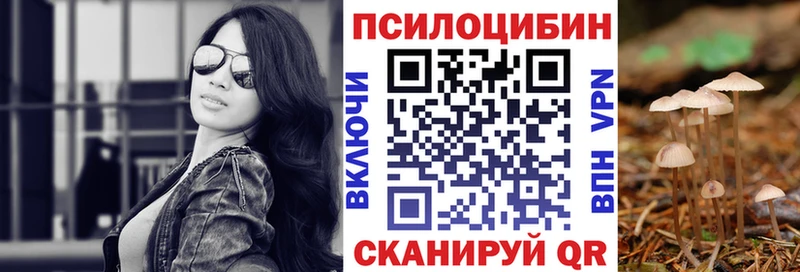 нарко площадка Telegram  Сясьстрой  Псилоцибиновые грибы мухоморы  KRAKEN ссылка 